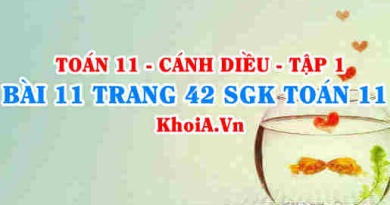 Bài 11 trang 42 SGK Toán 11 tập 1 Cánh Diều